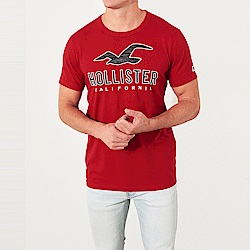HCO Hollister 海鷗 經典刺繡大海鷗文字短袖T恤-紅色