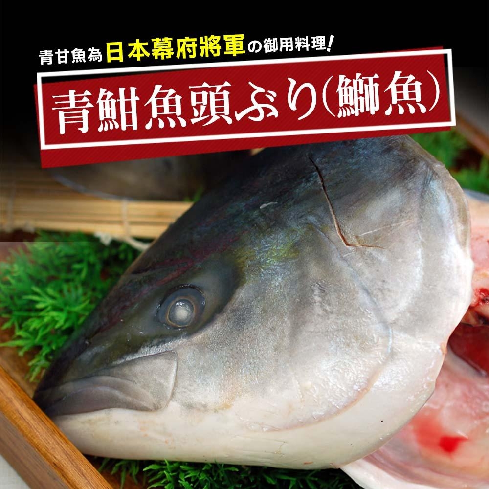 築地一番鮮-日本極鮮青魽魚頭12片(350g~400g/片)免運組