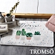 TROMSO 珪藻土厚實吸水地墊-繽紛小盆栽 product thumbnail 1