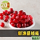 【享吃鮮果】鮮凍蔓越莓20包組(250g±10%/包) product thumbnail 1