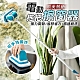 歐美熱銷電動多功能拖把擦窗器 product thumbnail 1