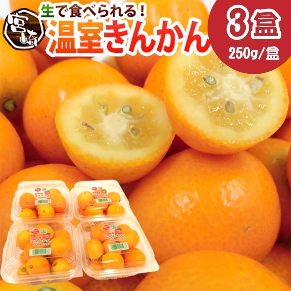 【天天果園】日本宮崎金桔3盒(每盒約250g)