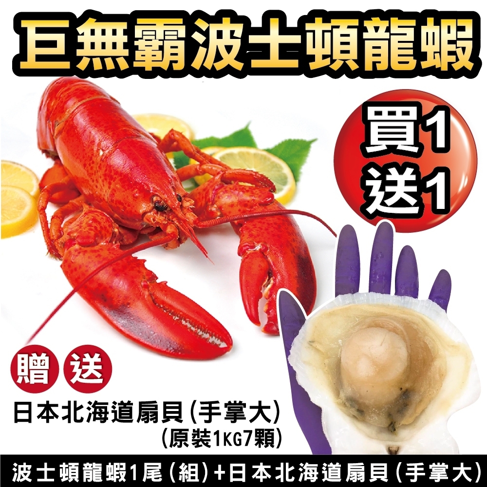 【海陸管家】海鮮雙拼組-波士頓龍蝦+北海道大扇貝