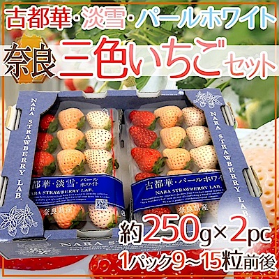 【天天果園】日本原裝奈良三色草莓2P裝(共500g/約20-34顆)