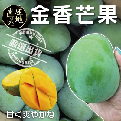 【果農直配】稀有帝王金香蜜芒果10斤(約13-15入)