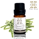 【Thai Scent 泰香】冷杉 尤加利 香茅 廣藿香 檸檬草 100%純精油 10ml(任選) product thumbnail 9