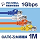 POLYWELL CAT6 高速乙太網路線 UTP 1Gbps 1M product thumbnail 1