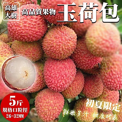 【老張果物】28-32mm大樹玉荷包荔枝1盒(每盒約5斤)