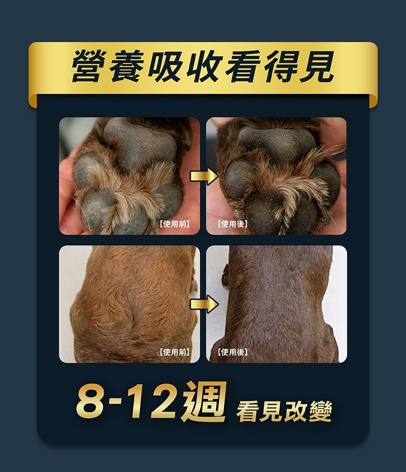 營養吸收看得見【使用前【使用後】【使用前】【使用後】8-12週看見改變