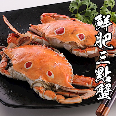 【海鮮王】特選鮮肥三點蟹 5隻組(淨重100-150g/隻)