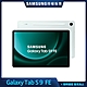 Samsung 三星 Tab S9 FE 10.9吋 平板電腦 Wifi (8G/256G/X510) product thumbnail 1