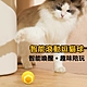 Ｍamy Pets 逗貓智能炫光自動滾動球。3色 product thumbnail 2