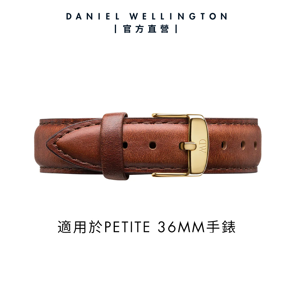 Daniel Wellington DW 錶帶 Petite St Mawes 16mm棕色真皮錶帶-香檳金