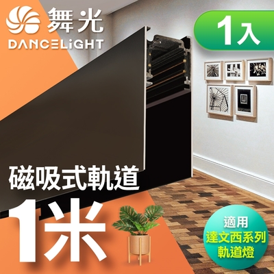 DanceLight舞光 1入組 達文西磁吸燈具-軌道1米