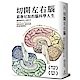 切開左右腦：葛詹尼加的腦科學人生 product thumbnail 1