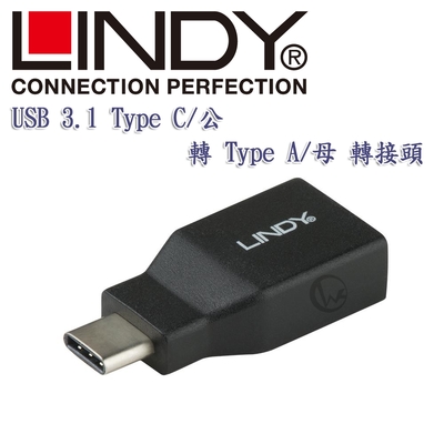 LINDY 林帝 USB 3.1 Type C/公 轉 Type A/母 轉接頭 (41899)