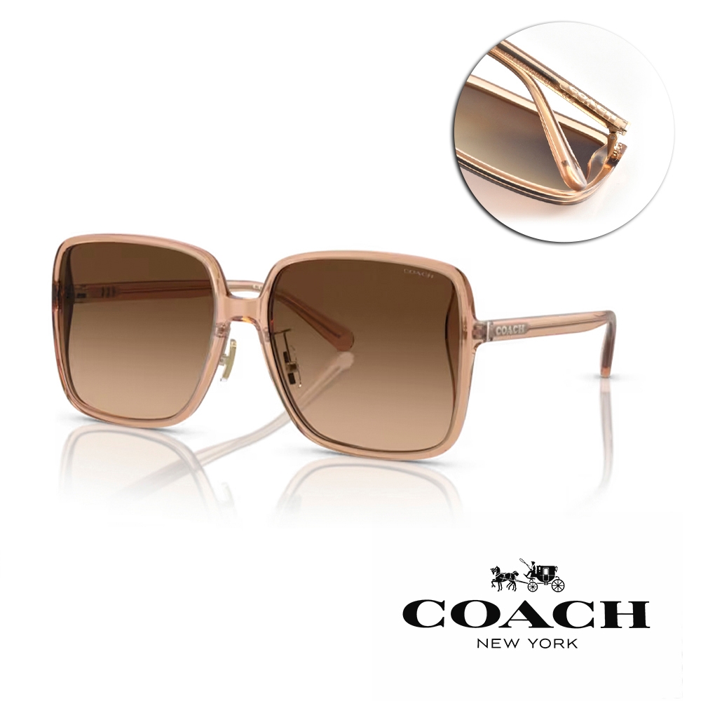 COACH 時尚復古大框膠框 太陽眼鏡/透咖 棕漸層鏡片#HC8368D 556174
