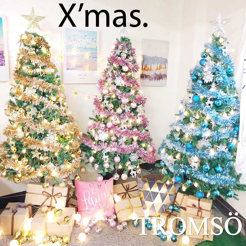TROMSO 2019北歐聖誕樹