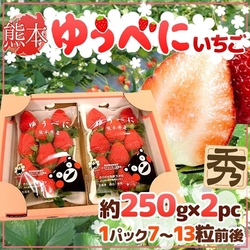 日本熊本/福岡/佐賀草莓