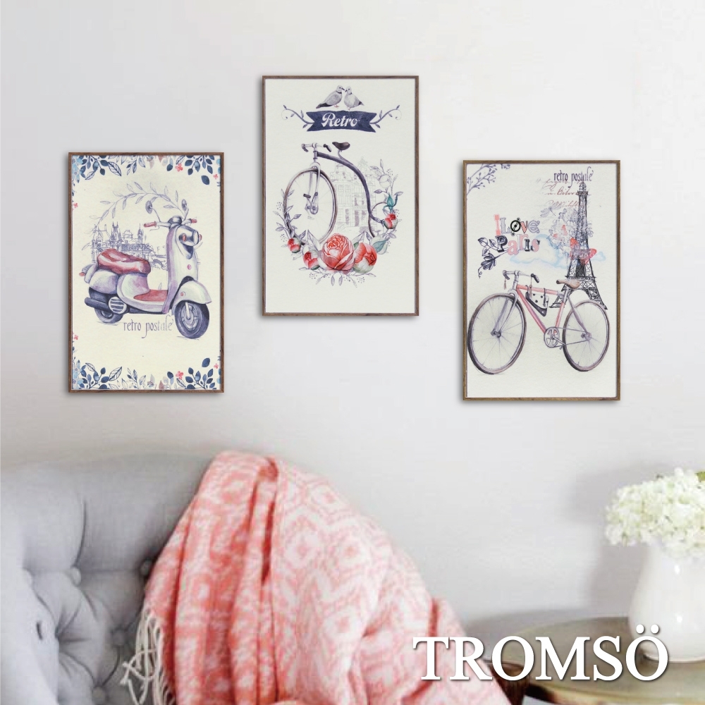 TROMSO北歐生活版畫有框畫-旅行花都WA100(三幅一組)
