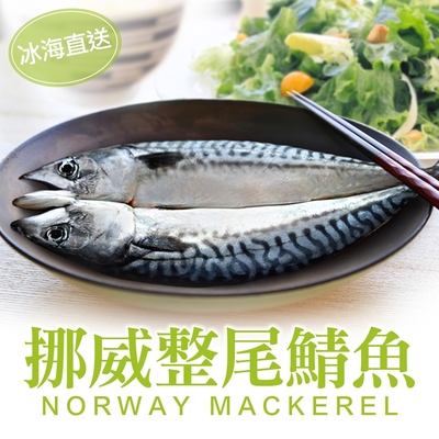 (任選)享吃海鮮-挪威整尾鯖魚1包(350g±10%/包)