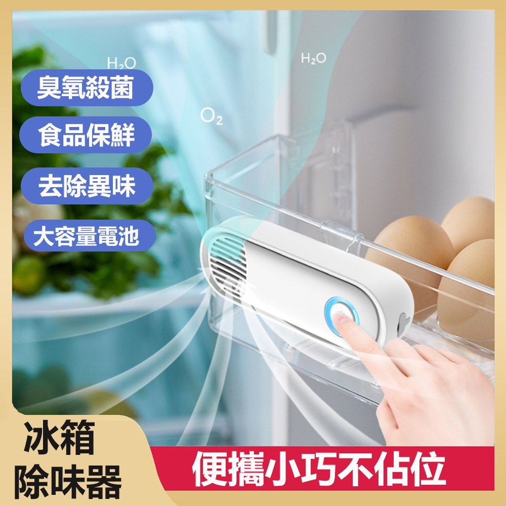 【hald】壁掛冰箱除味器 臭氧殺菌除臭 食物保鮮 空氣淨化器 去味神器