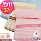 (3條組)MIT純棉精選緞條橫紋易擰乾毛巾TELITA product thumbnail 1
