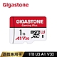 Gigastone Gaming Plus microSDXC 1TB 遊戲專用記憶卡(A1、V10、U1、支援Nintendo Switch) product thumbnail 1