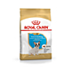 ROYAL CANIN法國皇家-法國鬥牛幼犬(FBDP) 3kg(購買第二件贈送寵物零食x1包) product thumbnail 1