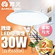 舞光 LED 2-3坪 30W雅緻吸頂燈(白光/黃光) product thumbnail 1