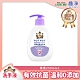 日本獅王LION 趣淨抗菌洗手液 果香 250ml product thumbnail 2