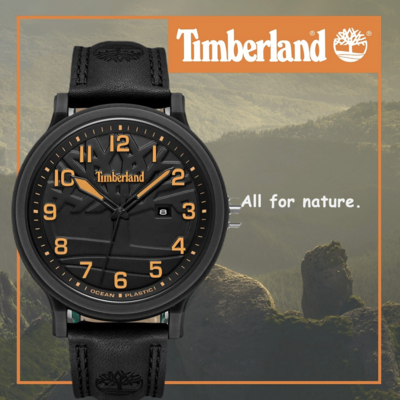Timberland 天柏嵐 廣告款 大三針時尚腕錶 TDWGB0010704
