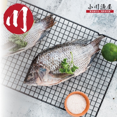 小川漁屋 精選台灣鯛魚3尾(250~300g/尾) -滿額