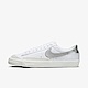 Nike Wmns Blazer Low 77 [DC4769-113] 女 休閒鞋 經典 復古 簡約 舒適 穿搭 白銀 product thumbnail 1