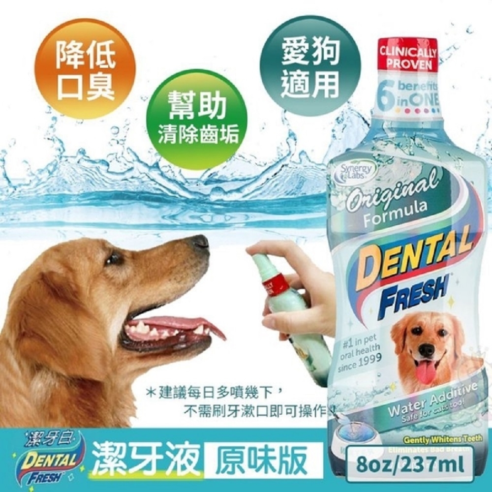 【2入組】美國潔牙白Dental Fresh系列潔牙液 一般版/貓咪版 8FL OZ(237mL)(購買二件贈送全家禮卷50元*1張)