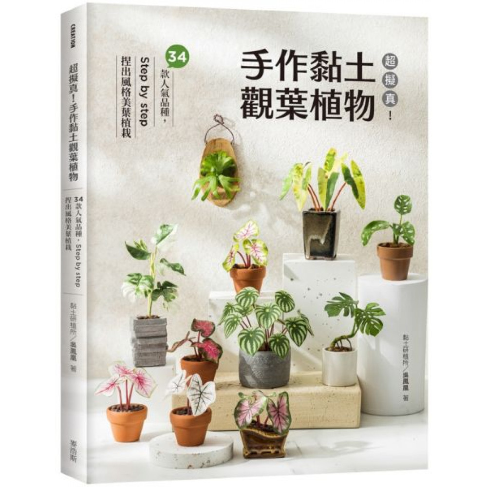 超擬真！手作黏土觀葉植物 | 拾書所