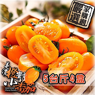 家購網嚴選 美濃橙蜜香小蕃茄 5斤x4盒