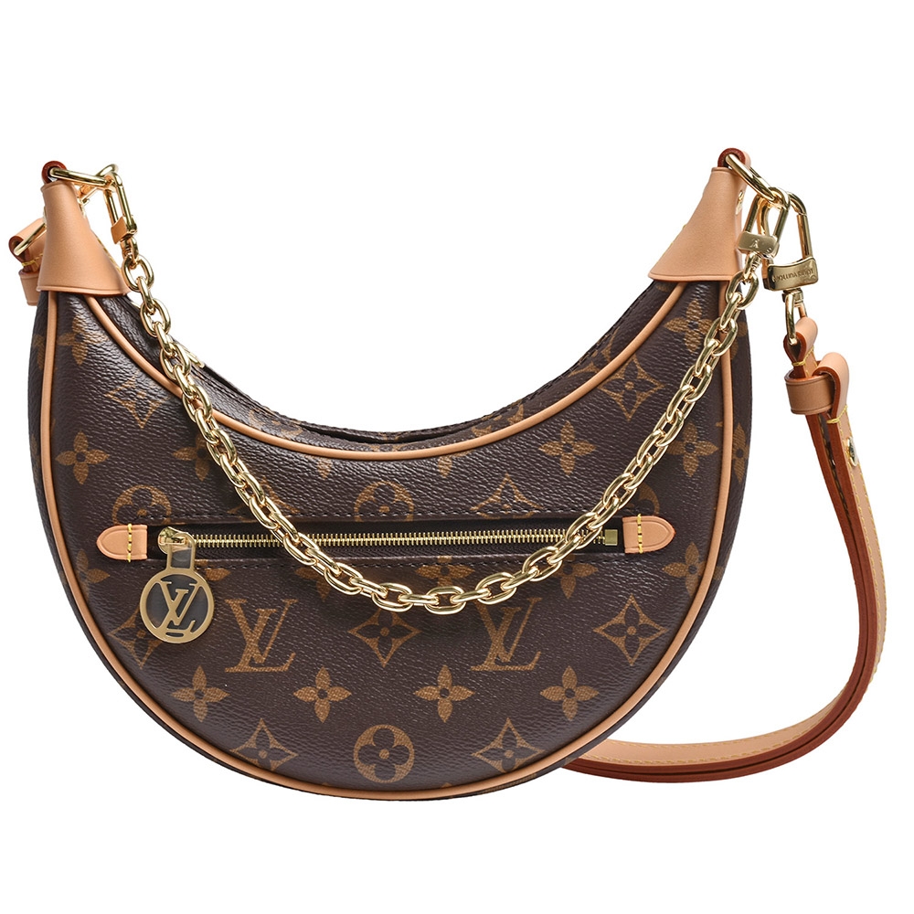 LV Loop Hobo ( M46311) Bag organizer