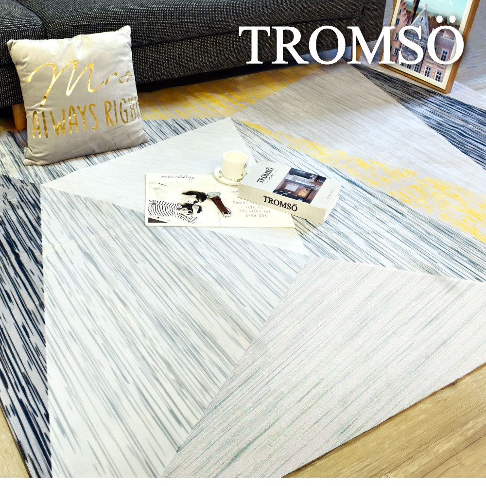 TROMSO 珊瑚絨短毛地毯-特大V摩登幾何230x160cm