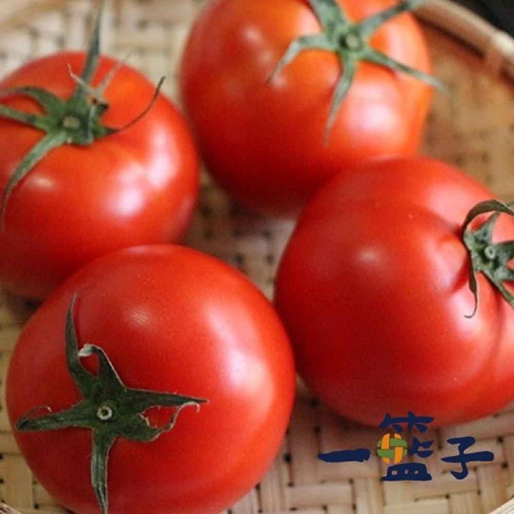 一籃子‧新社牛番茄5斤