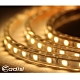 ADISI LED暖白光燈條-12米AS17001-12M-WW(裝飾燈、戶外露營、燈具) product thumbnail 1