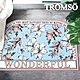 TROMSO科技絨舒柔吸水地墊-凡爾賽花園BS-825 product thumbnail 1