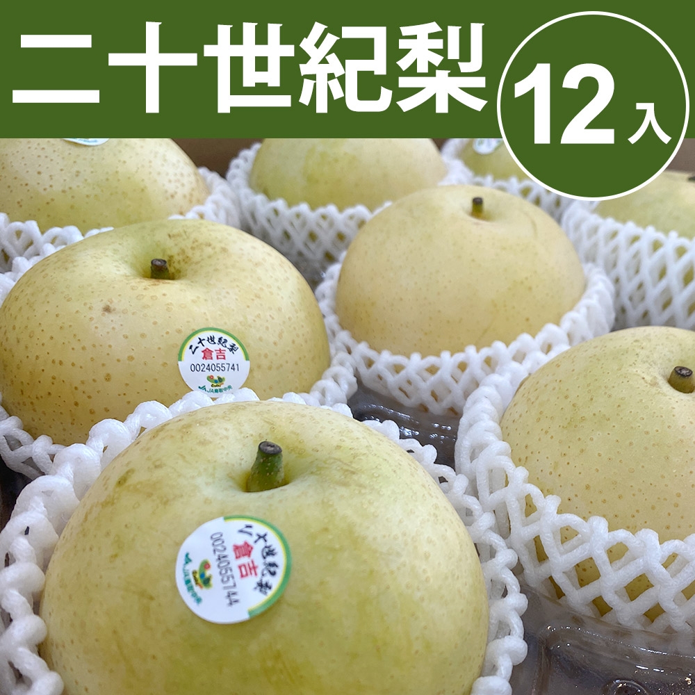 【甜露露】日本鳥取二十世紀梨12入(5kg±10%)