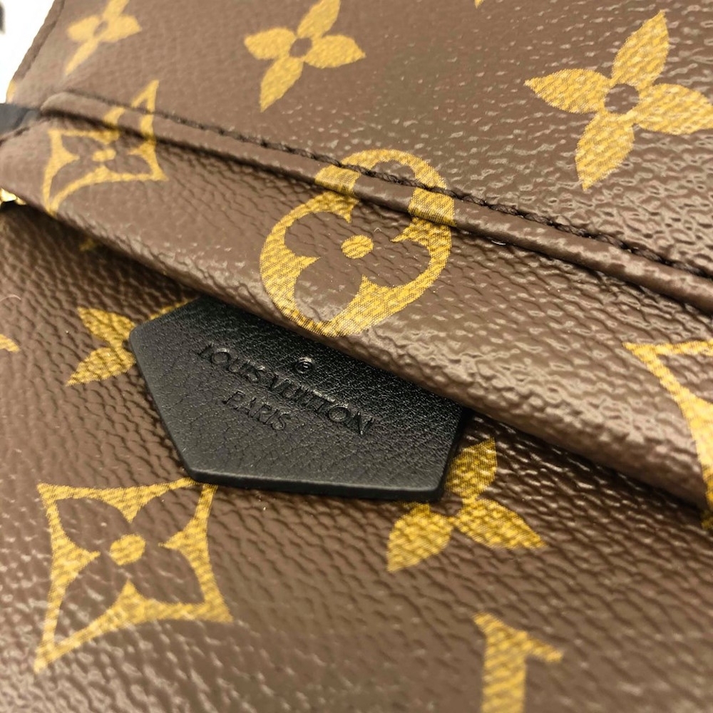 Shop Louis Vuitton MONOGRAM Palm Springs Mini (M44873) by yutamum