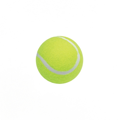 成功 一般網球 /顆 4311