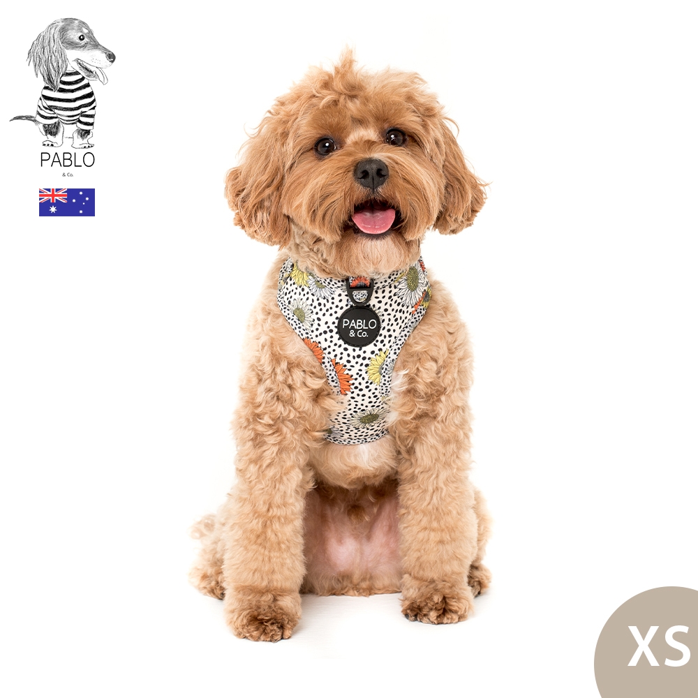 澳洲Pablo & Co 可調整式胸背帶 寵物胸背帶 狗狗胸背帶 南法向日葵 XS