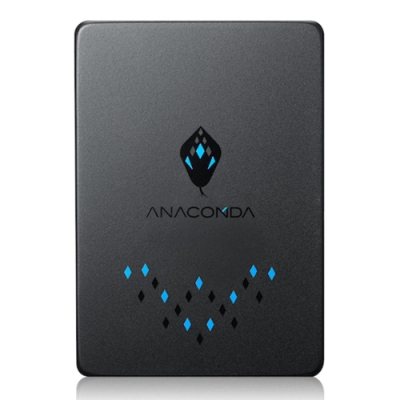 (十入組) ANACOMDA巨蟒 TS 960GB 固態硬碟