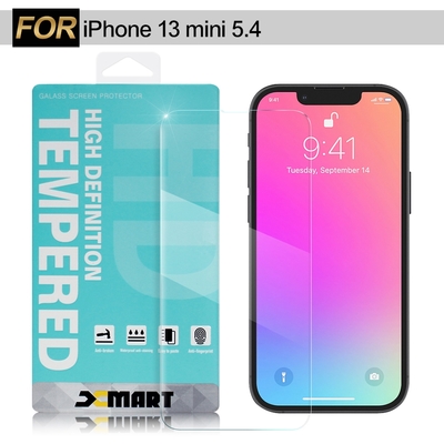 Xmart for iPhone 13 mini 5.4 薄型9H玻璃保護貼-非滿版