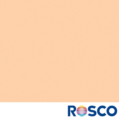 ROSCO E-COLOUR E205 1/2 CT Orange 燈紙 色溫紙 公司貨