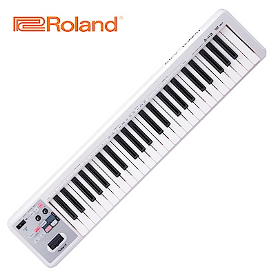 ROLAND A49 MIDI 49鍵主控鍵盤 白色款